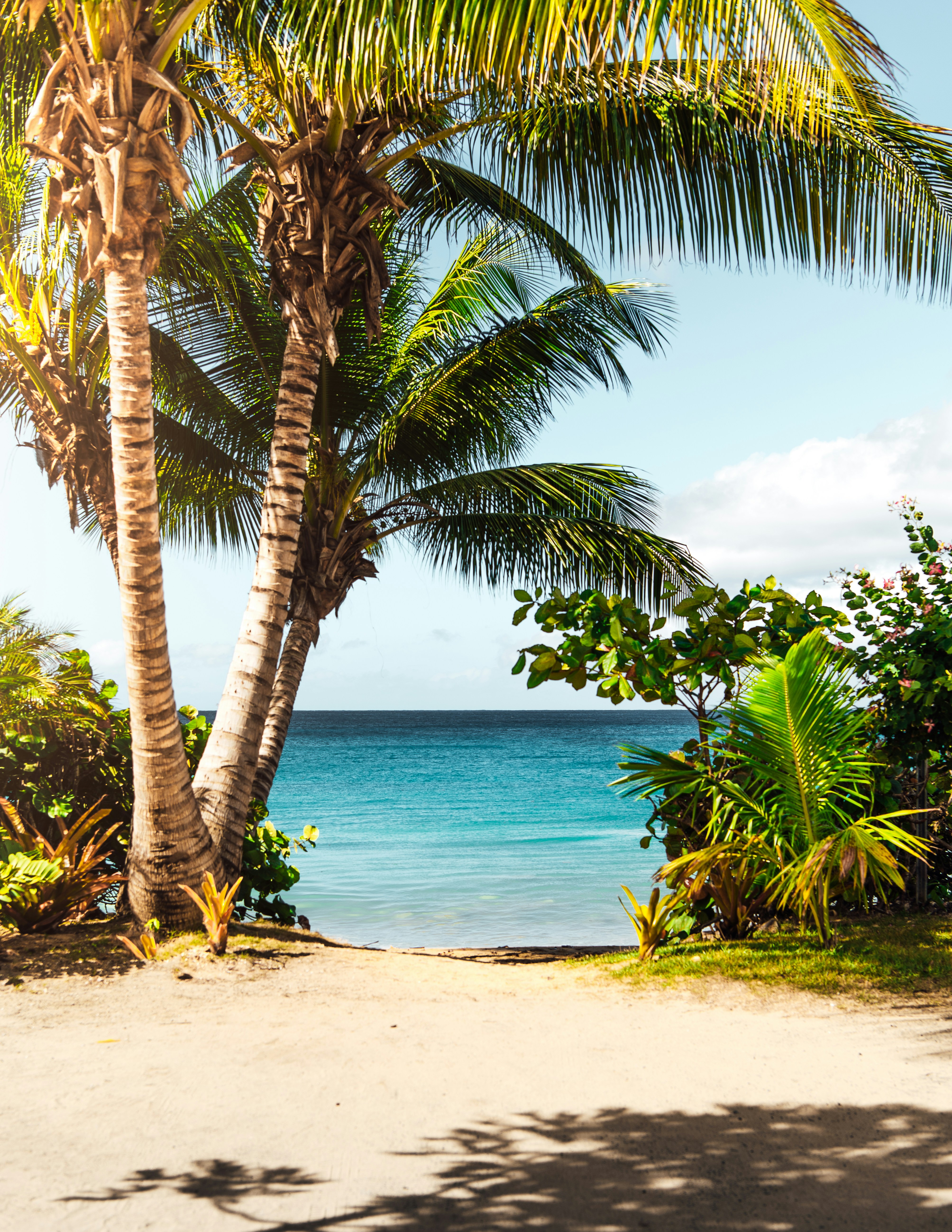 Coastal View